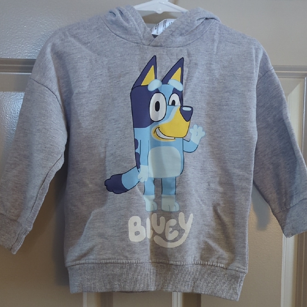 Kids Grey Hoodie